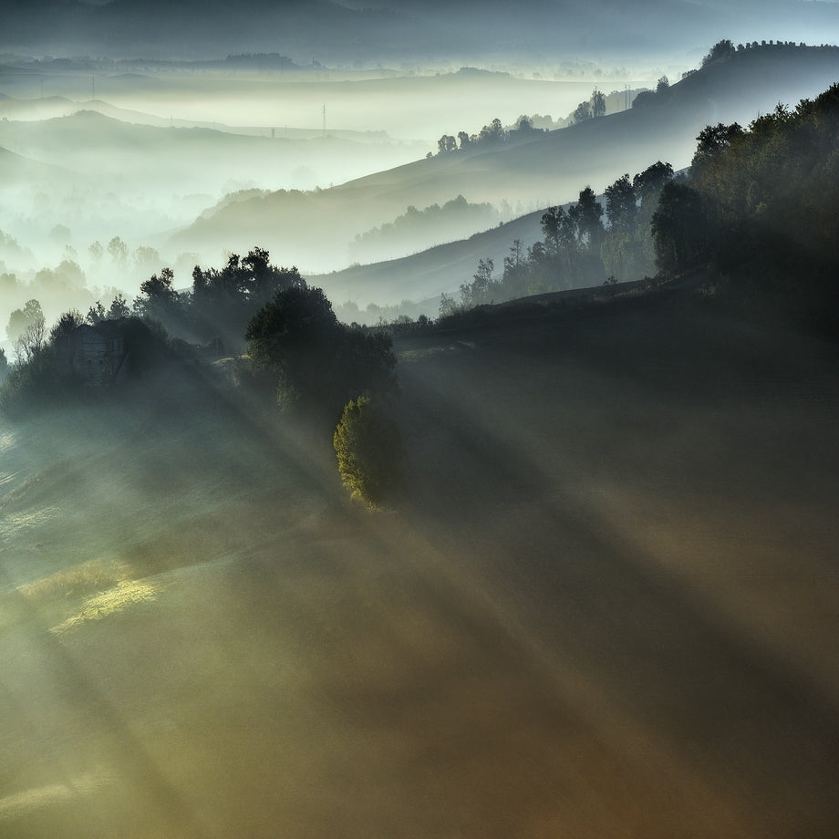 "FIRST RAYS" Poster och Canvastavla