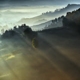 "FIRST RAYS" Poster och Canvastavla