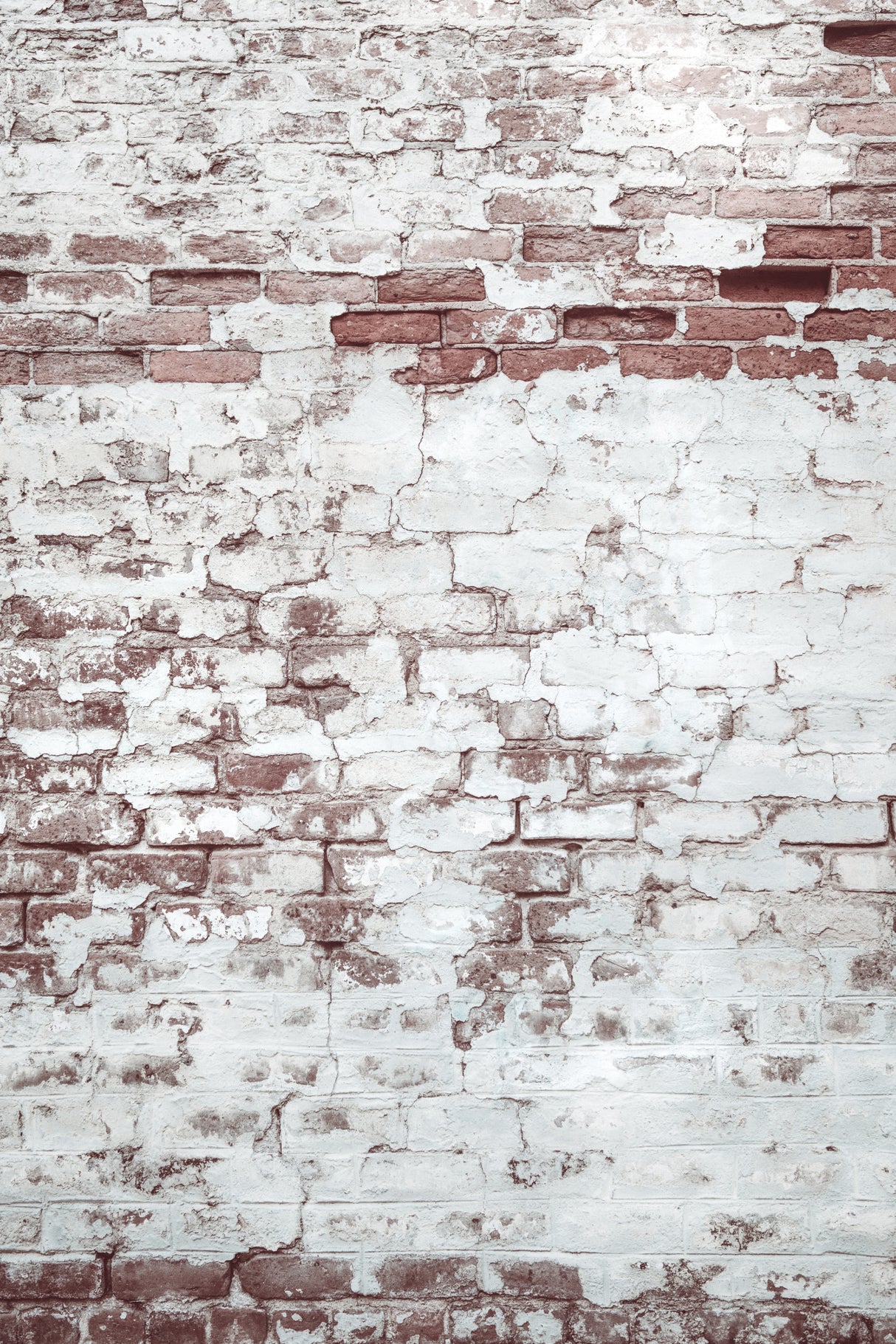 Light Brick Wall Poster och Canvastavla