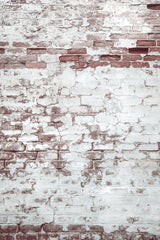 Light Brick Wall Poster och Canvastavla