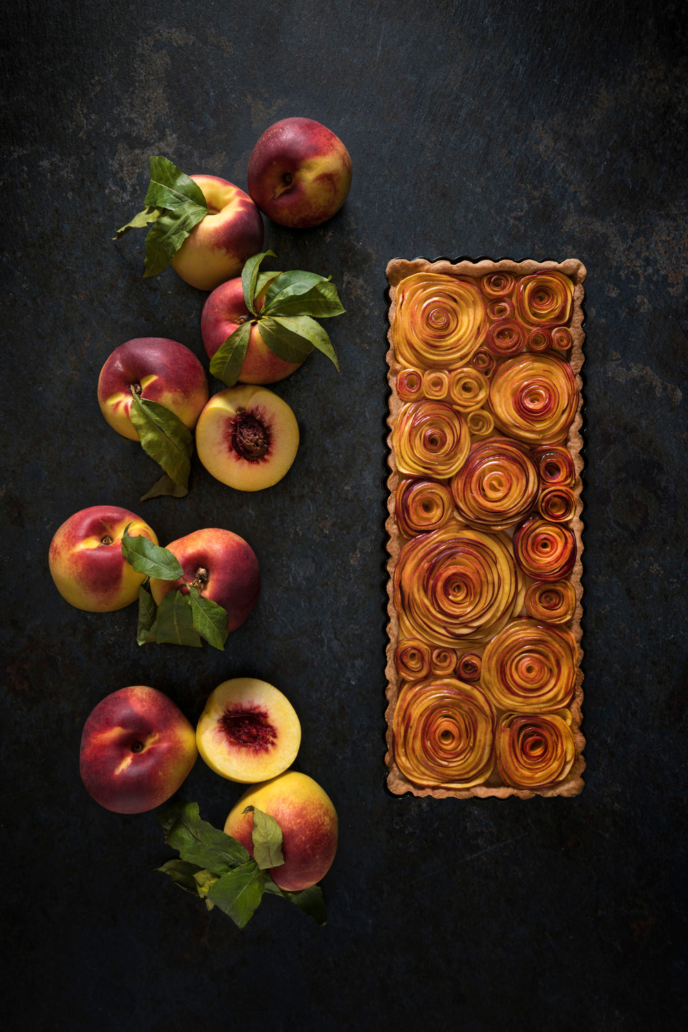 Field of peachy roses Poster och Canvastavla