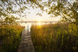 Golden Jetty Poster och Canvastavla