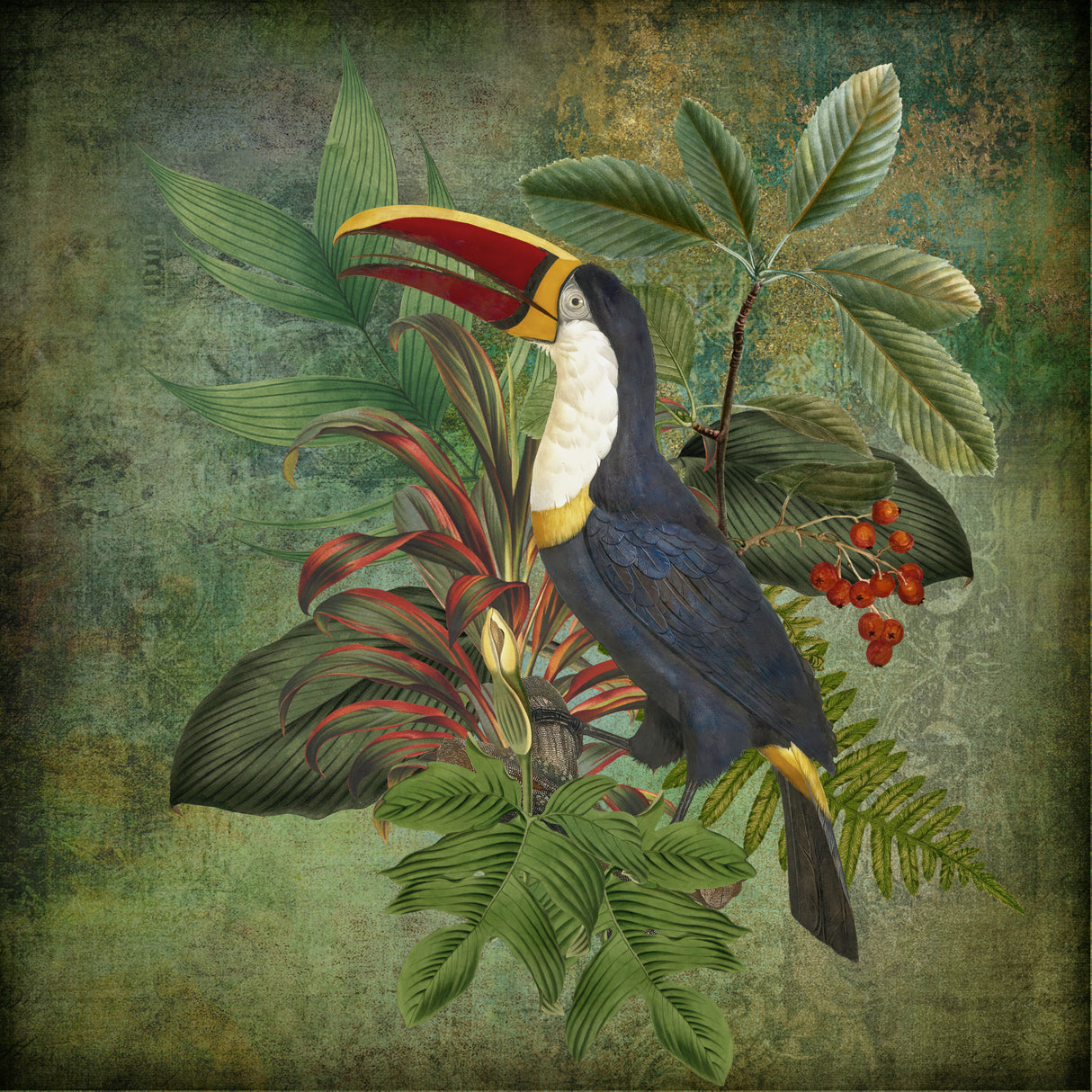 Toucan Poster och Canvastavla