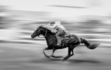 Horse Racing Poster och Canvastavla