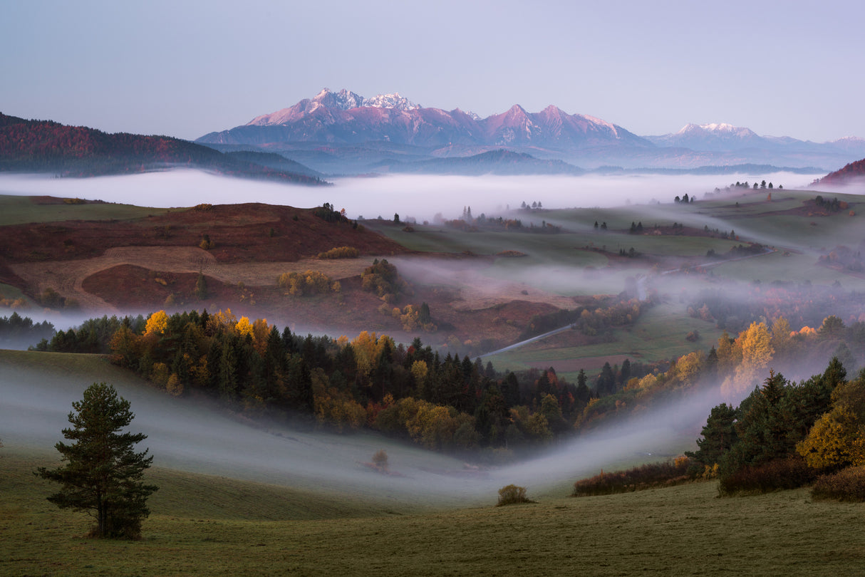 The Tatra Mountains Poster och Canvastavla