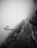 Human nature Poster och Canvastavla