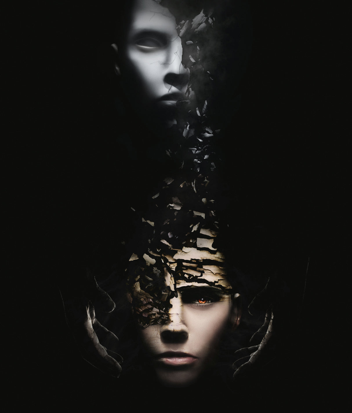 Reborn Poster och Canvastavla