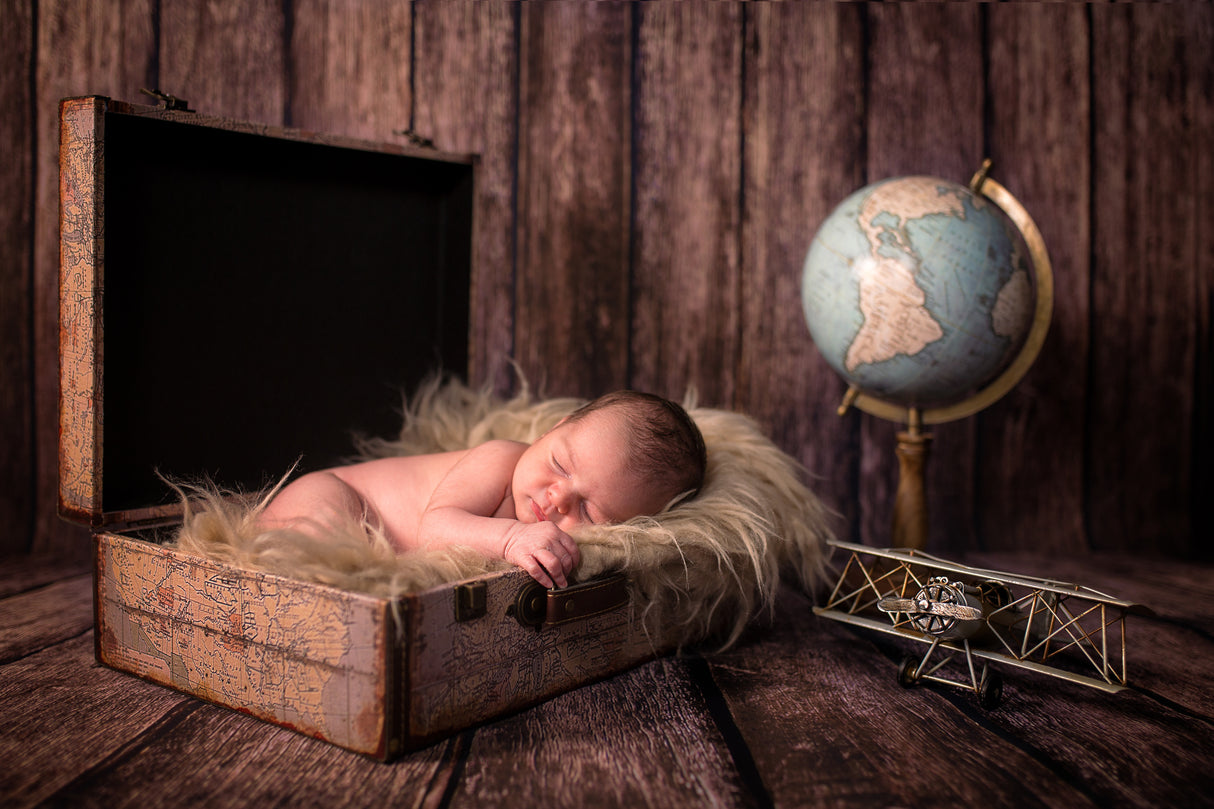 Baby Traveler Poster och Canvastavla