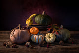 Pumpkin Music-1 Poster och Canvastavla