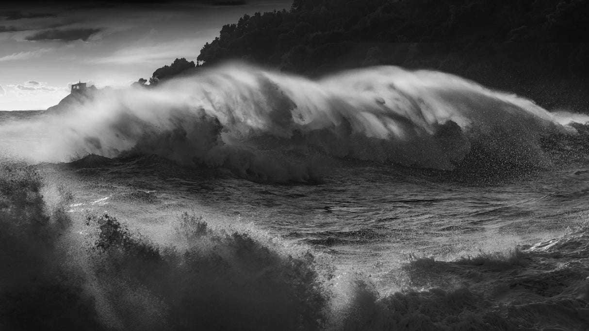 THE LONG WAVE Poster och Canvastavla