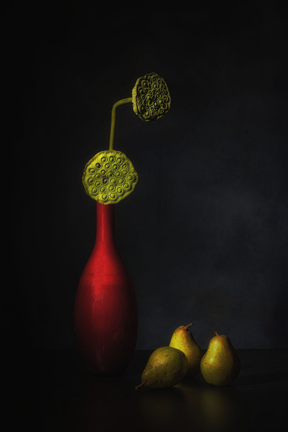Autumn dream Poster och Canvastavla