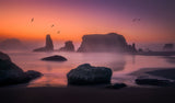 Foggy Sunset at Bandon Beach Poster och Canvastavla