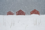 Red boat houses in the snow Poster och Canvastavla