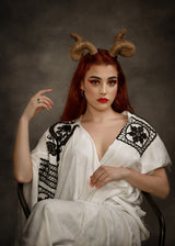 Aries (♈︎) Poster och Canvastavla