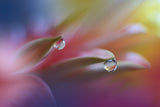 Sound Of Colors... Poster och Canvastavla