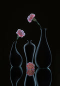 still life 34 Poster och Canvastavla
