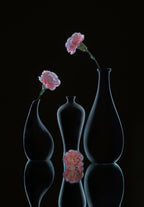still life 34 Poster och Canvastavla