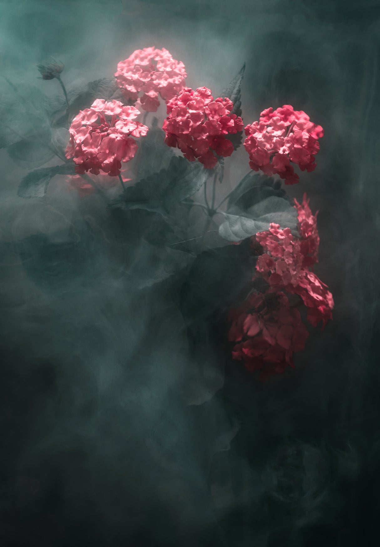 Ocean Deep Poster och Canvastavla