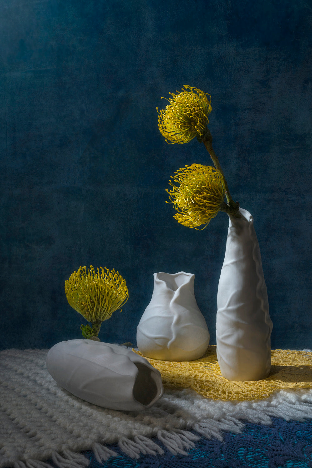 Three Leucospermums Poster och Canvastavla