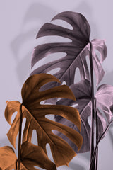 Monstera Purple 02 Poster och Canvastavla