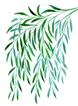 Cascading watercolor eucalyptus Poster och Canvastavla