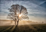 Sunrise Poster och Canvastavla