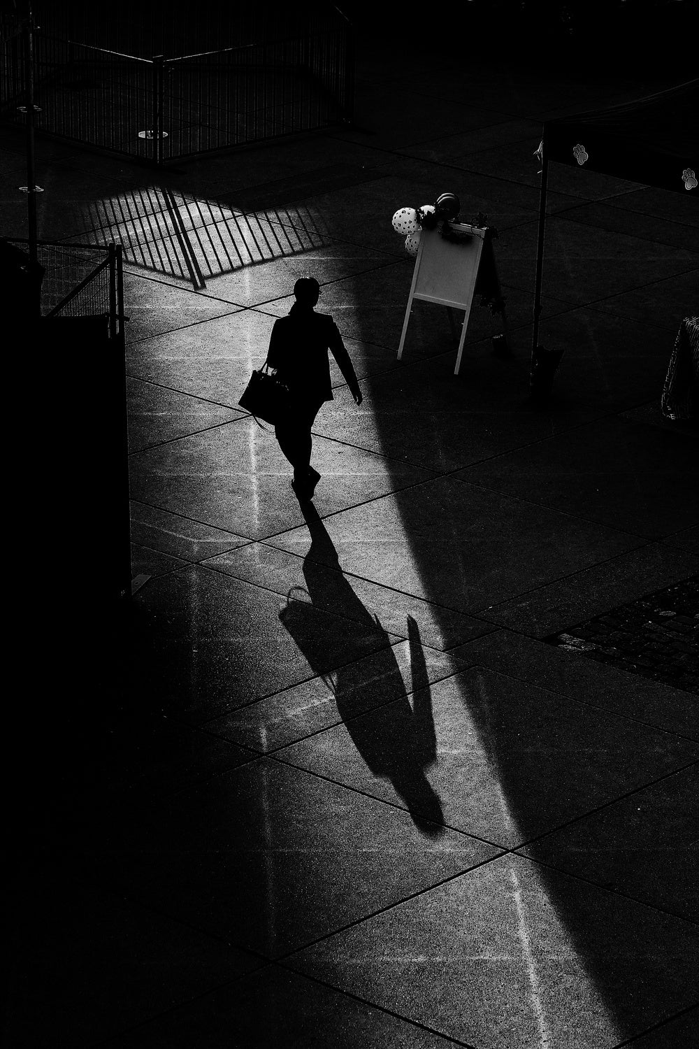 Light and shadows Poster och Canvastavla