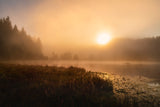 The incredible light of an October morning Poster och Canvastavla