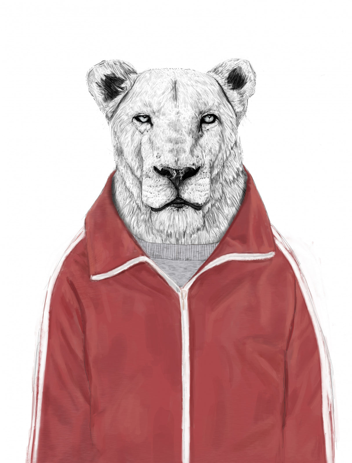 Sporty Lion Poster och Canvastavla