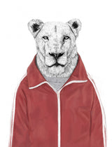 Sporty Lion Poster och Canvastavla