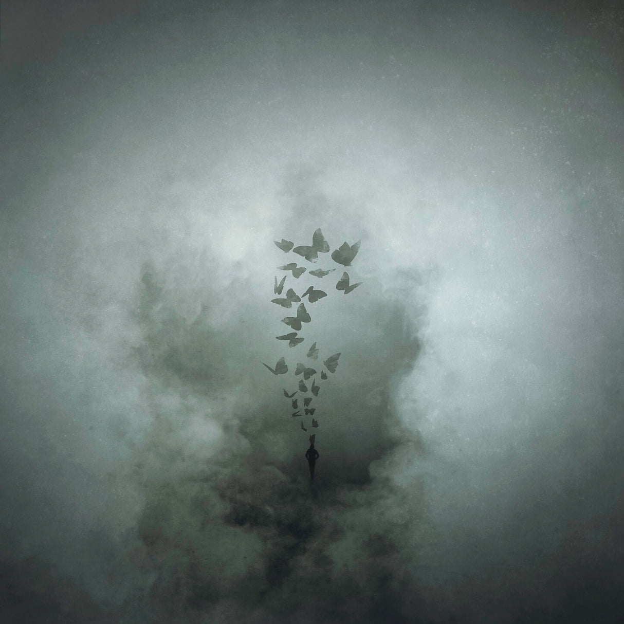 Fly Away My Hope Poster och Canvastavla