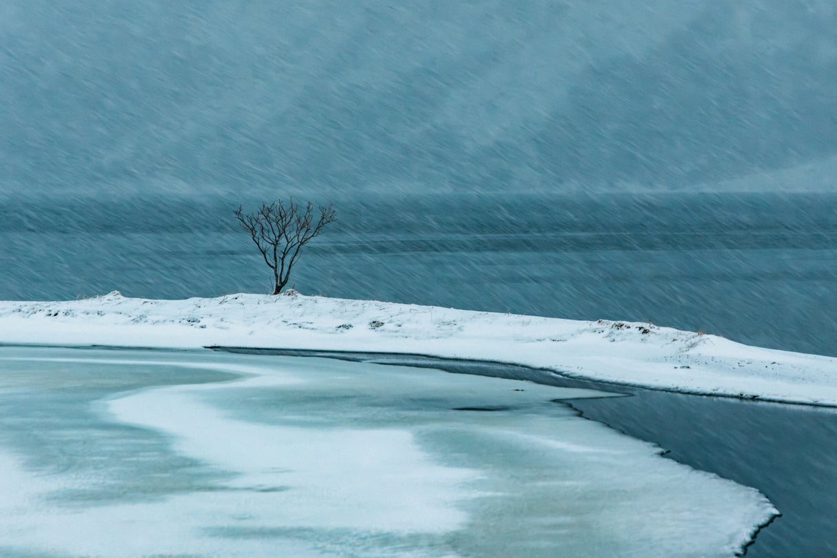 Arctic Simphony Poster och Canvastavla
