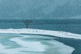 Arctic Simphony Poster och Canvastavla