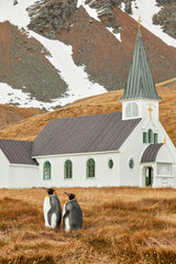 On the way to church Poster och Canvastavla