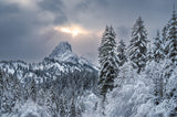 The alpine freshness Poster och Canvastavla