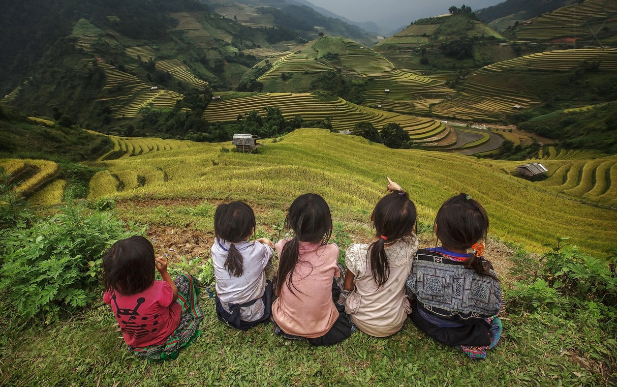 Children of Vietnam Sitting in the backyard The mountain in Mu Cang Chai,Yenbai,Vietnam. Poster och Canvastavla