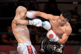 boxing Poster och Canvastavla
