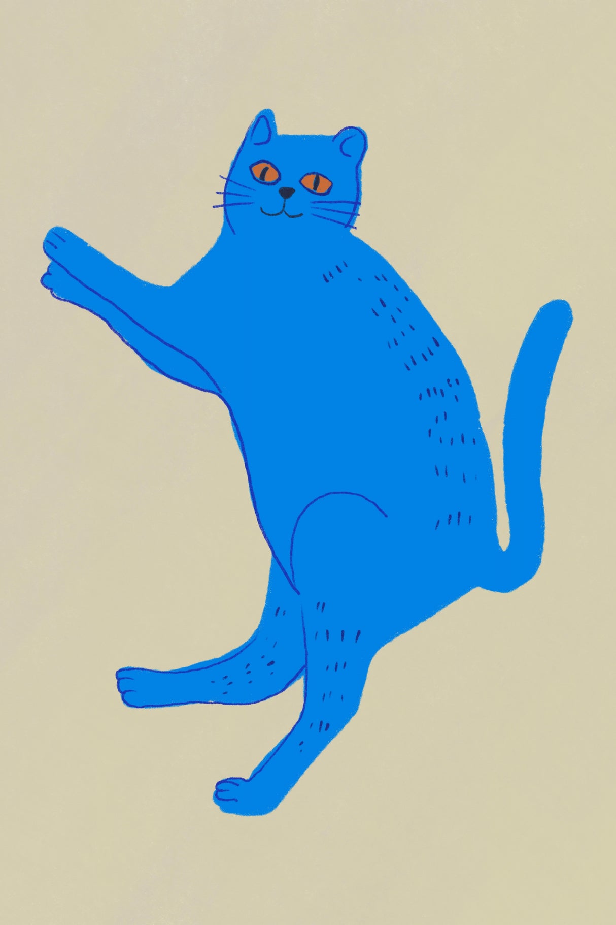 Blue cat Poster och Canvastavla
