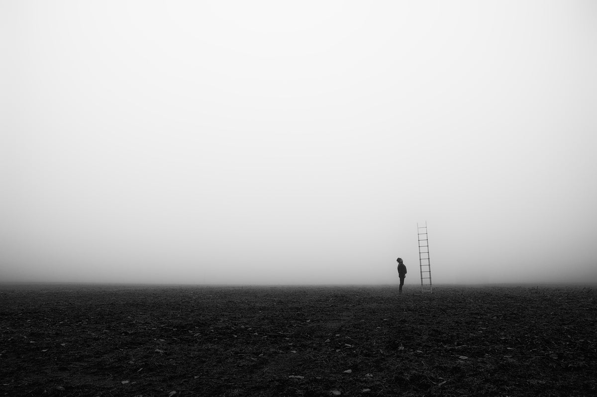 Beyond the fog Poster och Canvastavla