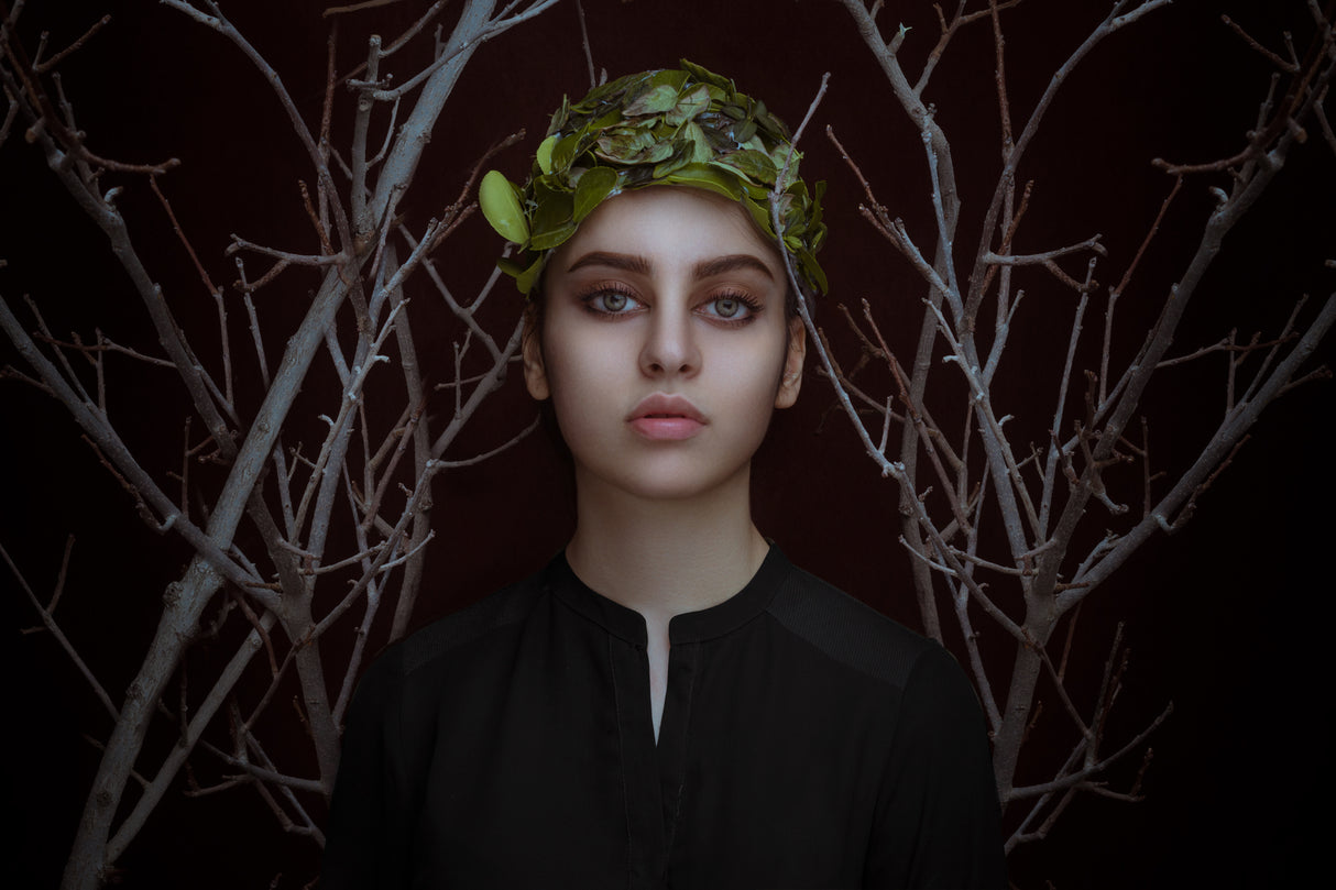 Foliage Poster och Canvastavla