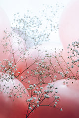 Blooms and Balloons - All of me Poster och Canvastavla