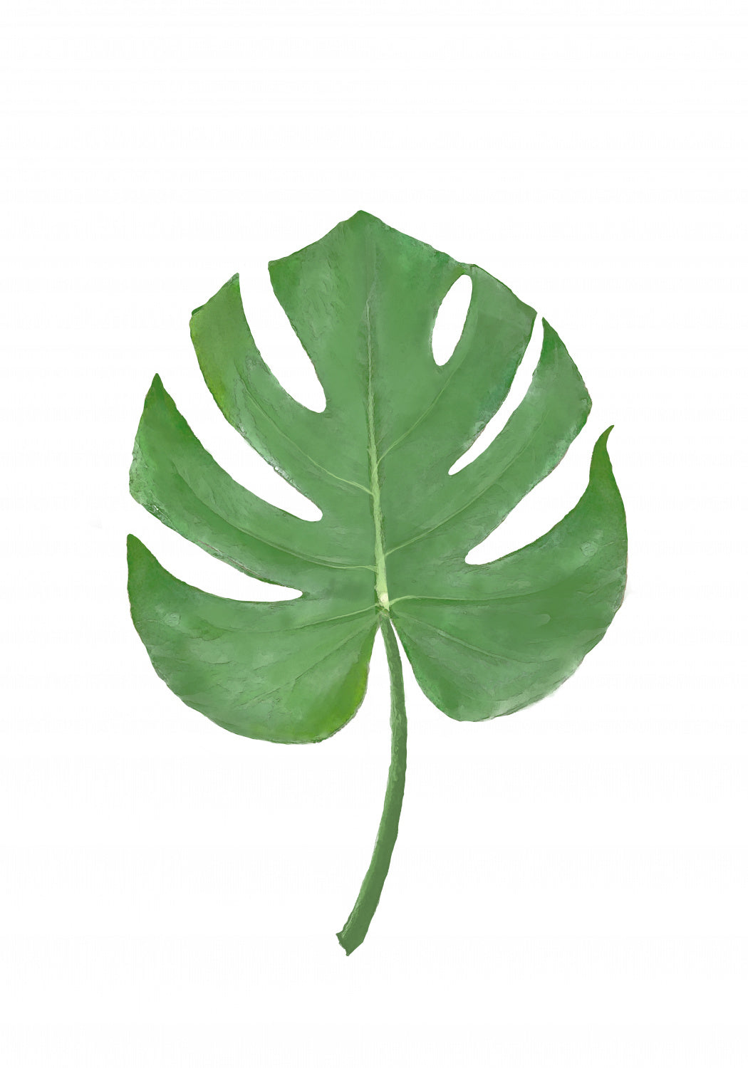 Monstera Aqua 07 Poster och Canvastavla