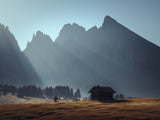 morning rays 2 Poster och Canvastavla