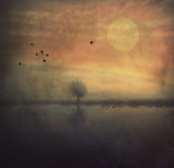 Some Nights... Poster och Canvastavla