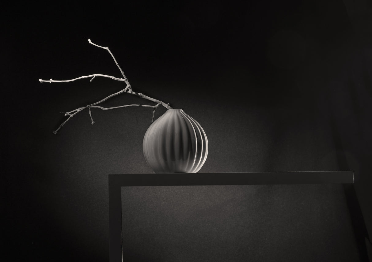 From the series "From the life of a small shelf" Poster och Canvastavla