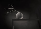 From the series "From the life of a small shelf" Poster och Canvastavla