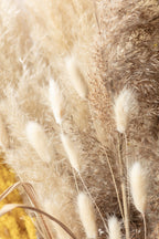 Dried Bouquet Poster och Canvastavla