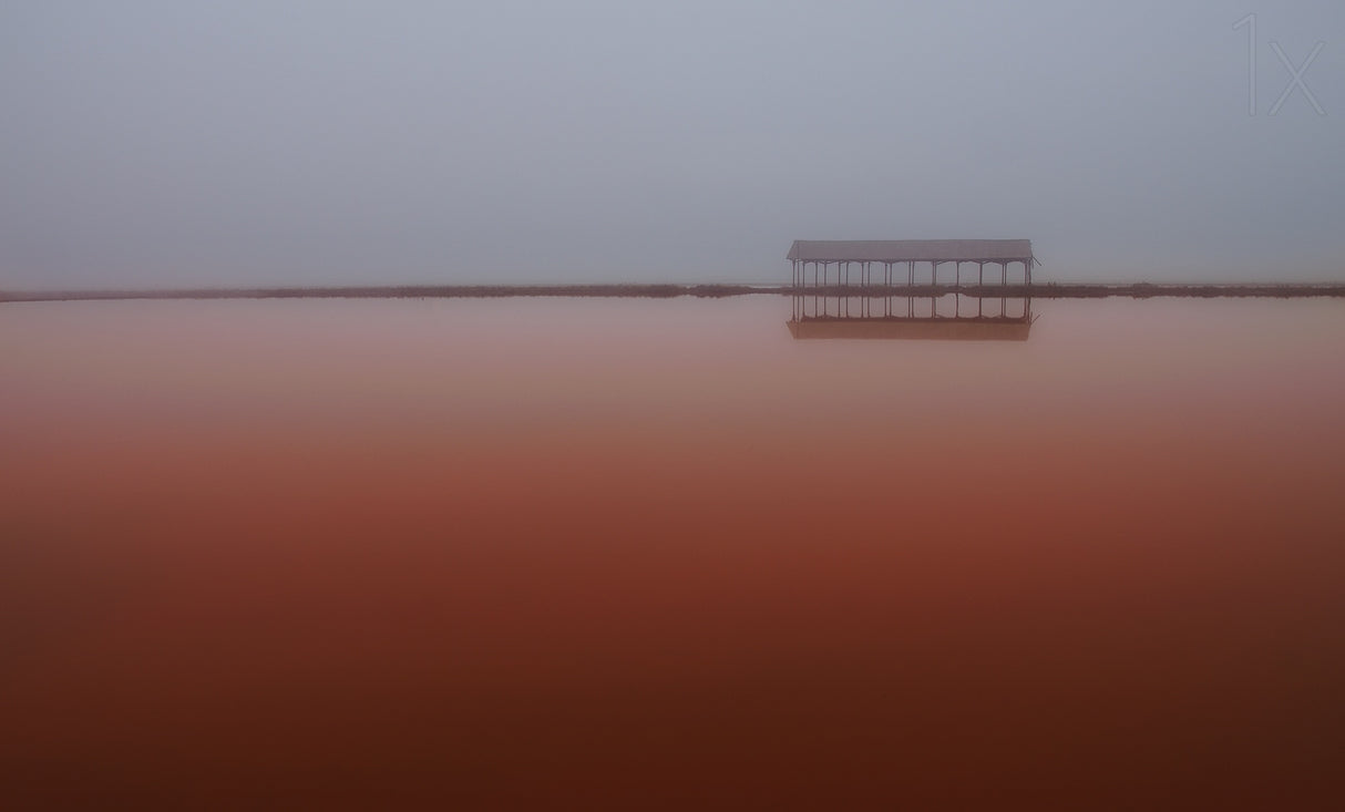 misty red Poster och Canvastavla