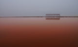 misty red Poster och Canvastavla