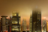 Urban Forest in Mist Poster och Canvastavla